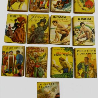 Coleccion Robin Hood 13 libros